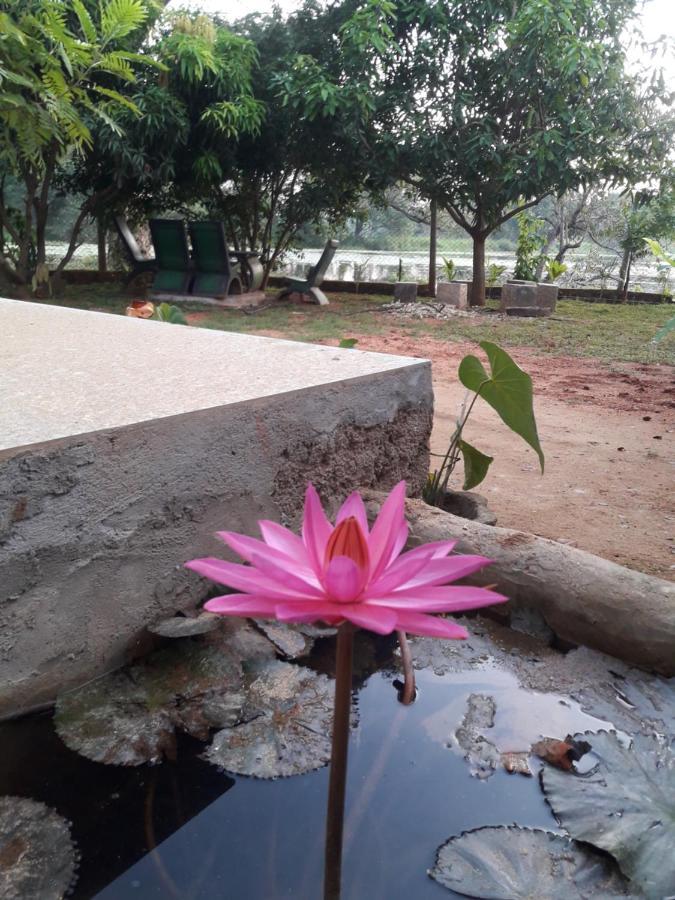 Lake View Dambulla Exterior foto